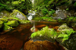 Jizera Mountains_Czech Republic_Nikon Z6 III