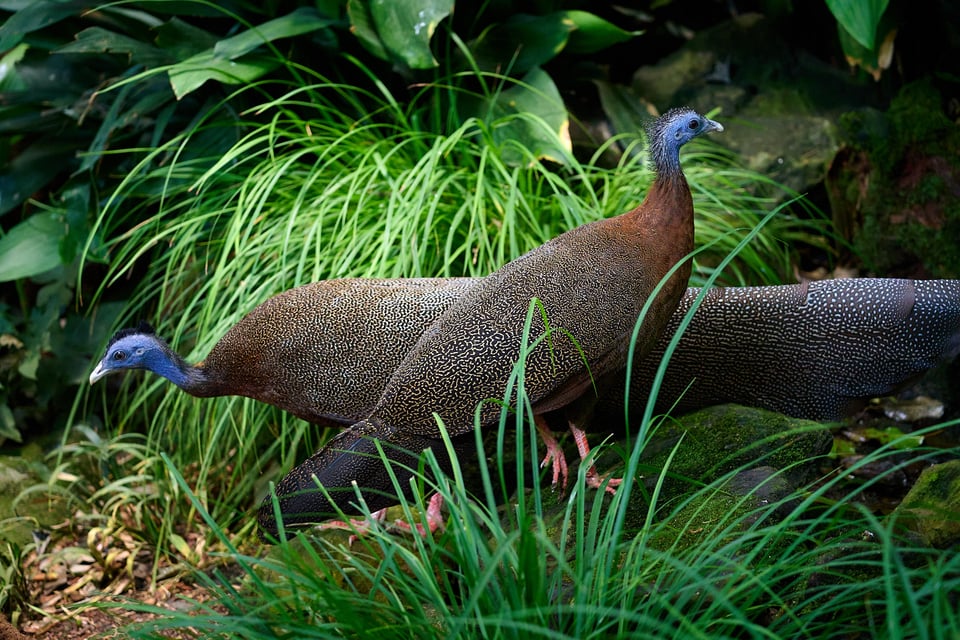 Nikon Z6 III_Sample images_DSC0851