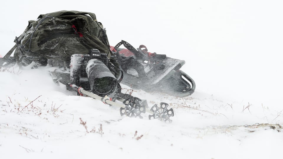 Z9 and 100-400S under the storm