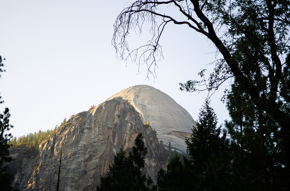 Bad foreground silhouetted tree example