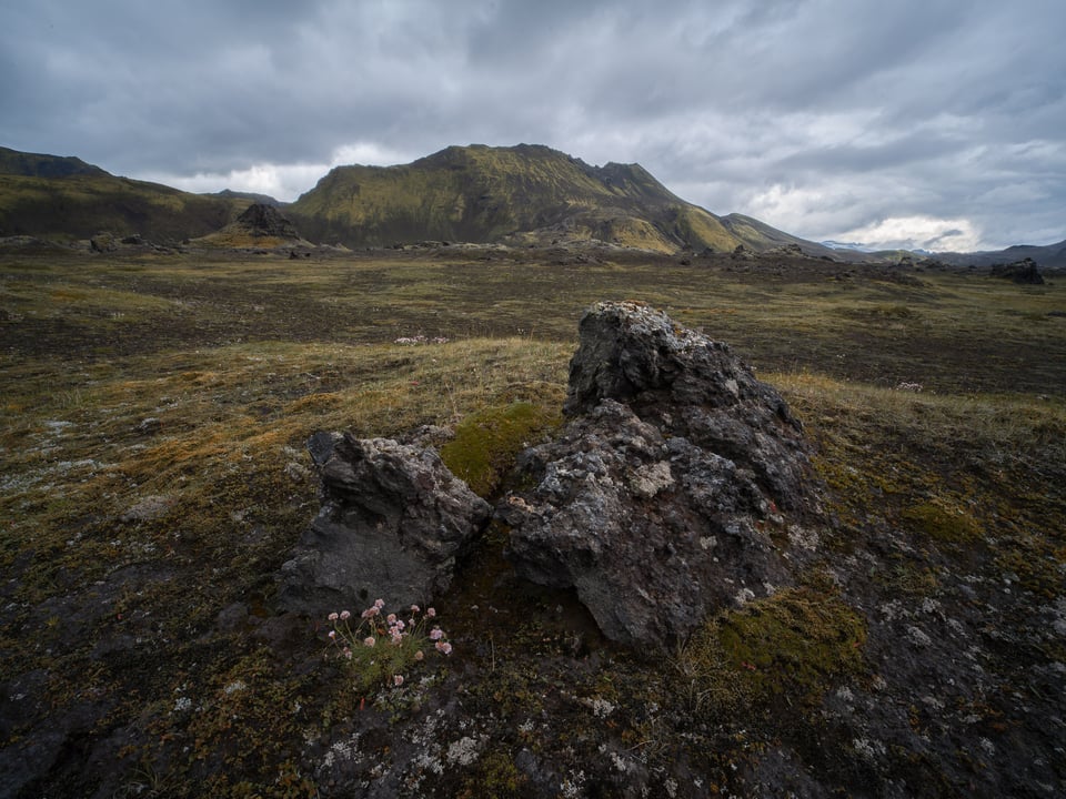 Wide angle landscape with bigger foreground at 20mm