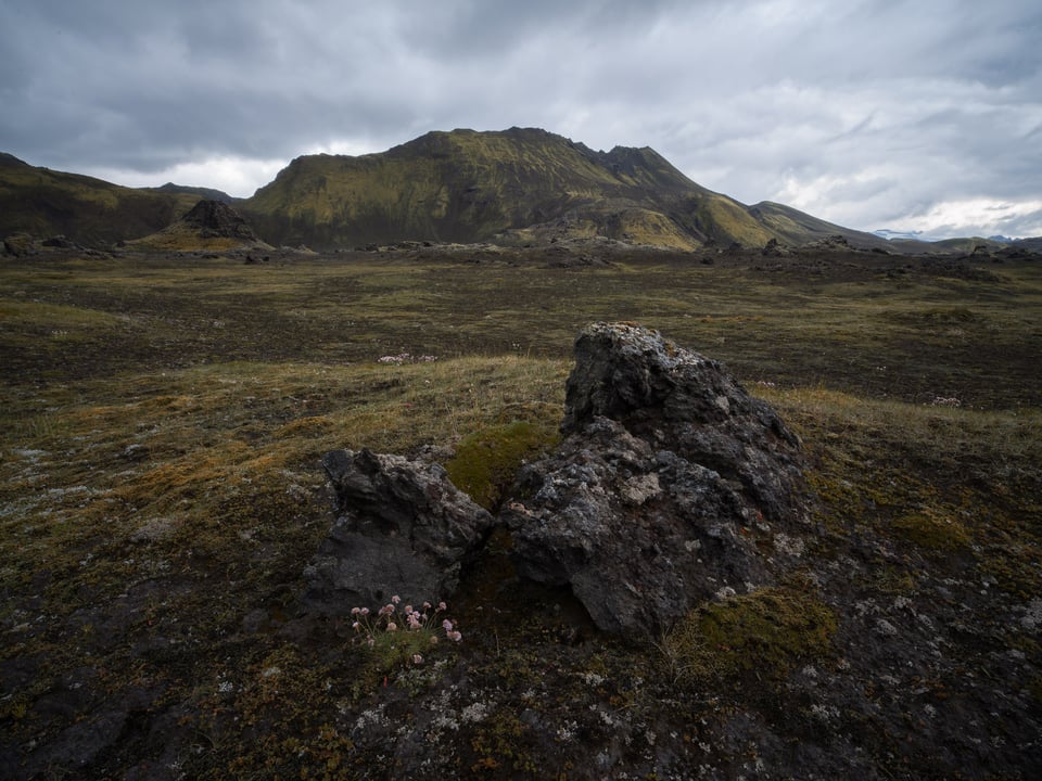 Wide angle landscape with medium background at 25mm