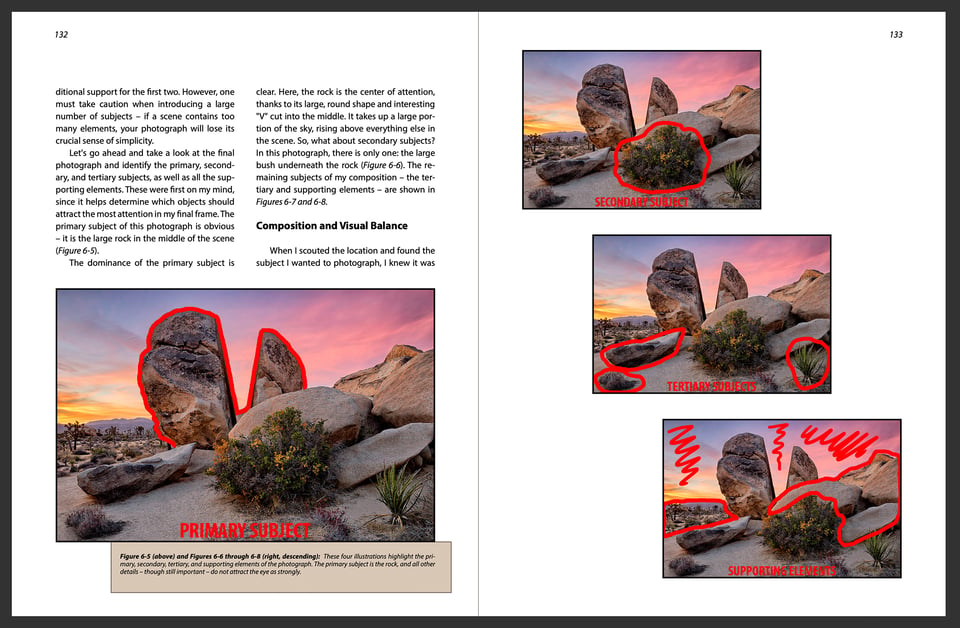 Landscape eBook Screenshot Case Study