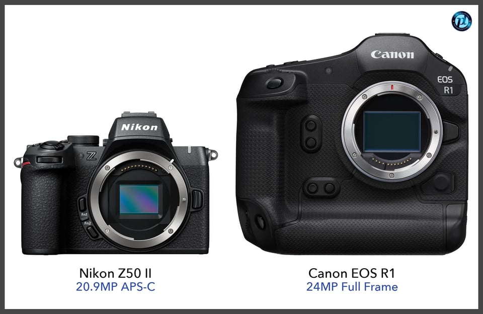 NikonZ50II_vs_CanonEOSR1_comparison_front