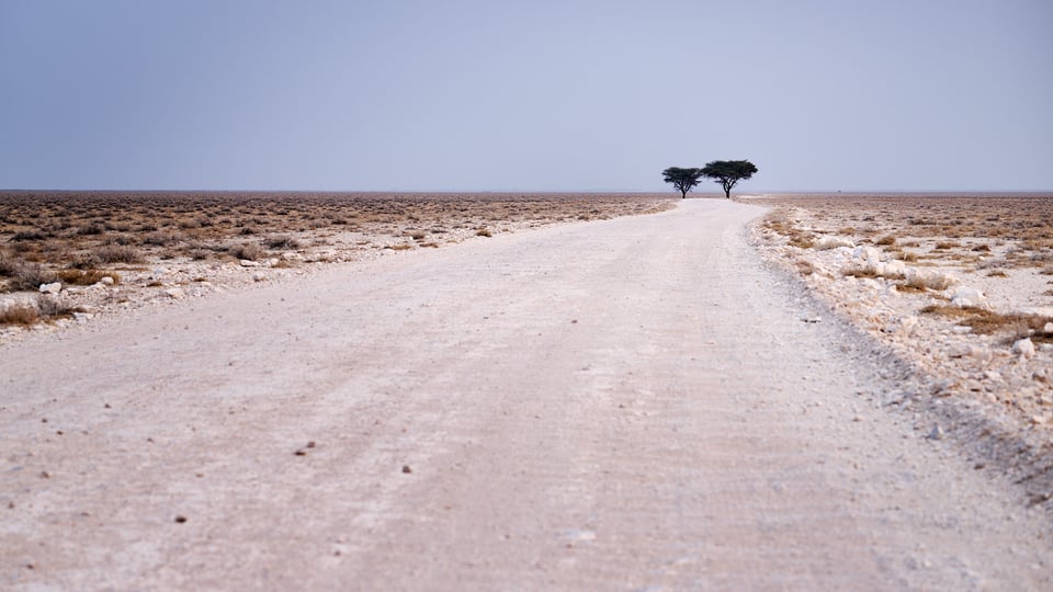 Etosha road