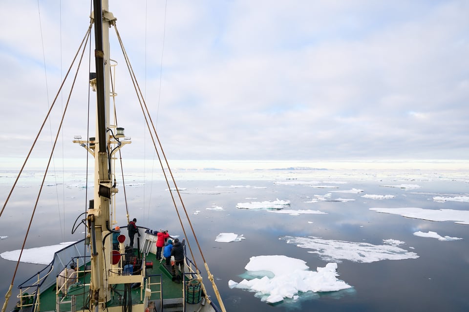 Sailing among the floating summer ice