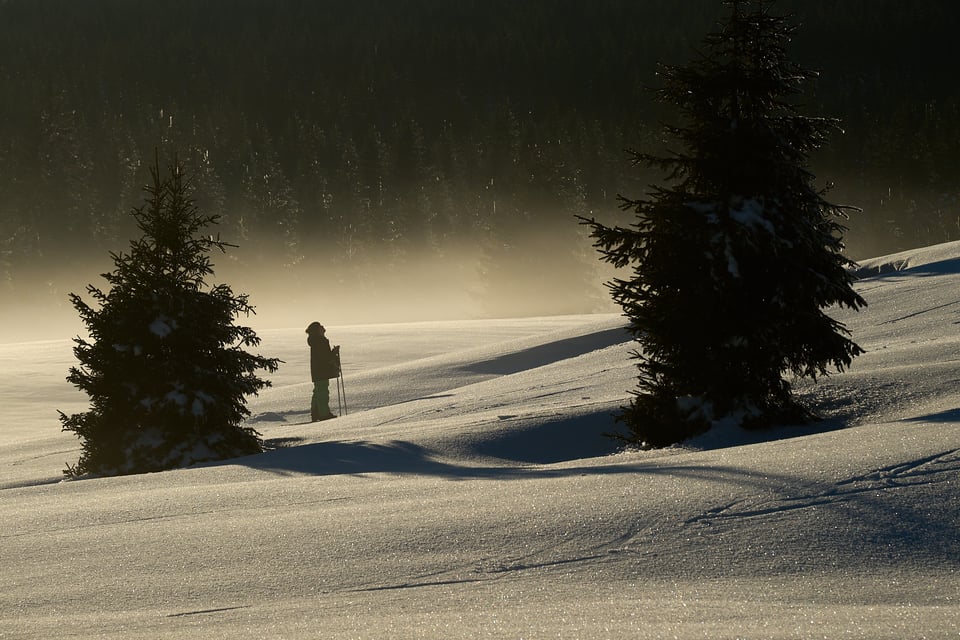 Jizerske Hory_Snow_Nikon Z9_Nikon 24-120mm f4_LVP2122