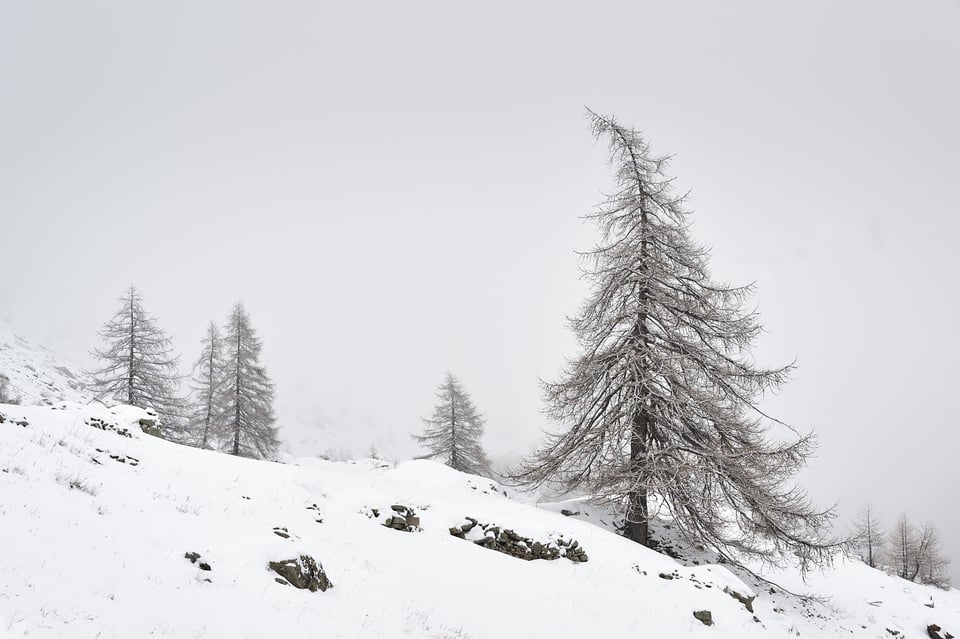 Z9 and 24-120 - Winter landscape