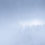 Clouds, larches and light