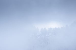 Clouds, larches and light