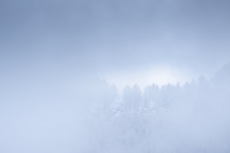 Clouds, larches and light