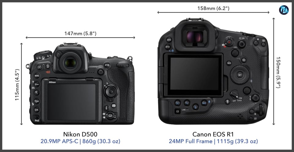 NikonD500_vs_CanonEOSR1_comparison_back