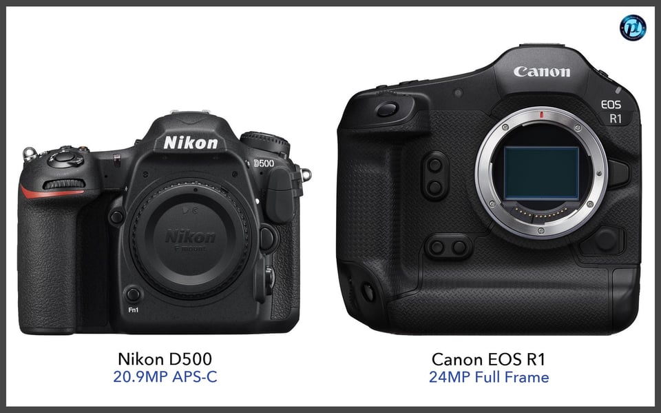 NikonD500_vs_CanonEOSR1_comparison_front