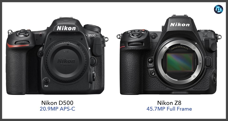 NikonD500_vs_NikonZ8_comparison_front