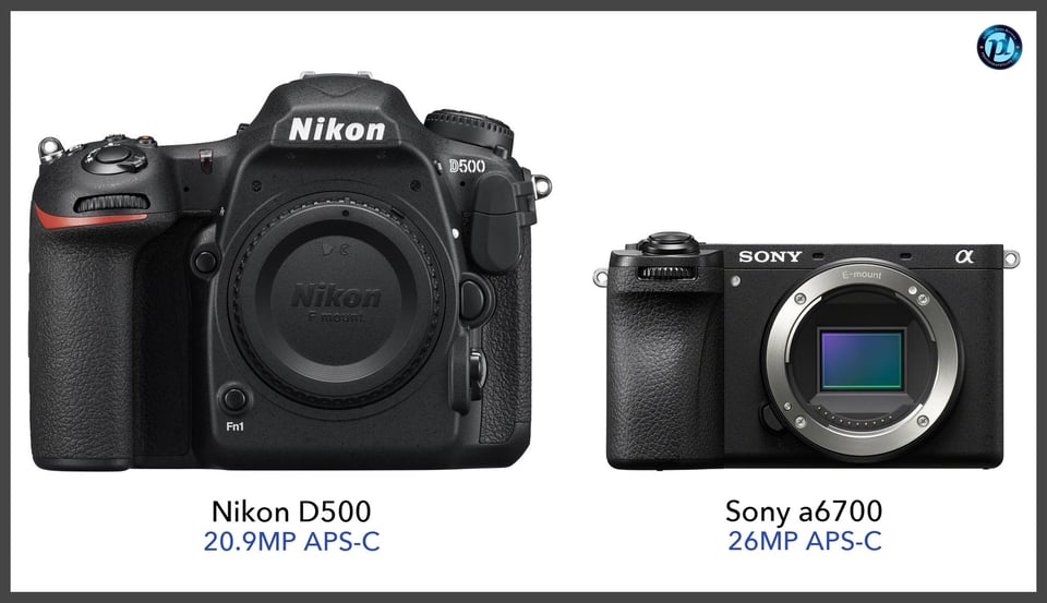 NikonD500_vs_Sonya6700_comparison_front