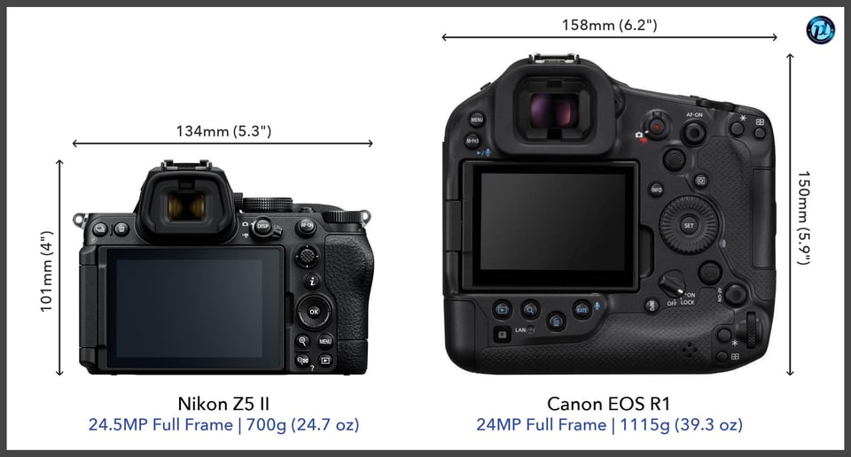 NikonZ5II_vs_CanonEOSR1_comparison_back