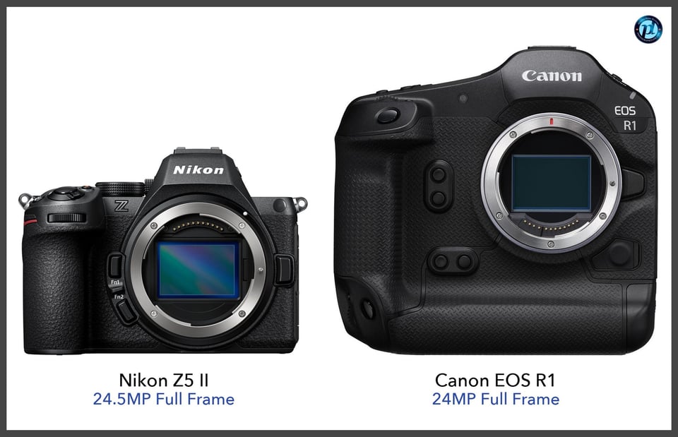 NikonZ5II_vs_CanonEOSR1_comparison_front