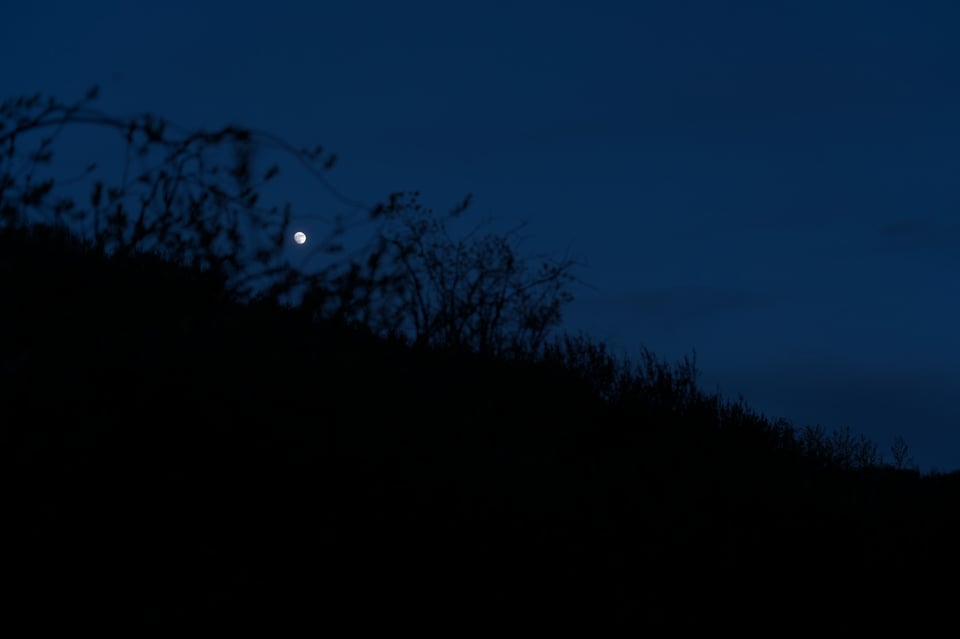 Moon_Through_Branches_Jason_Polak