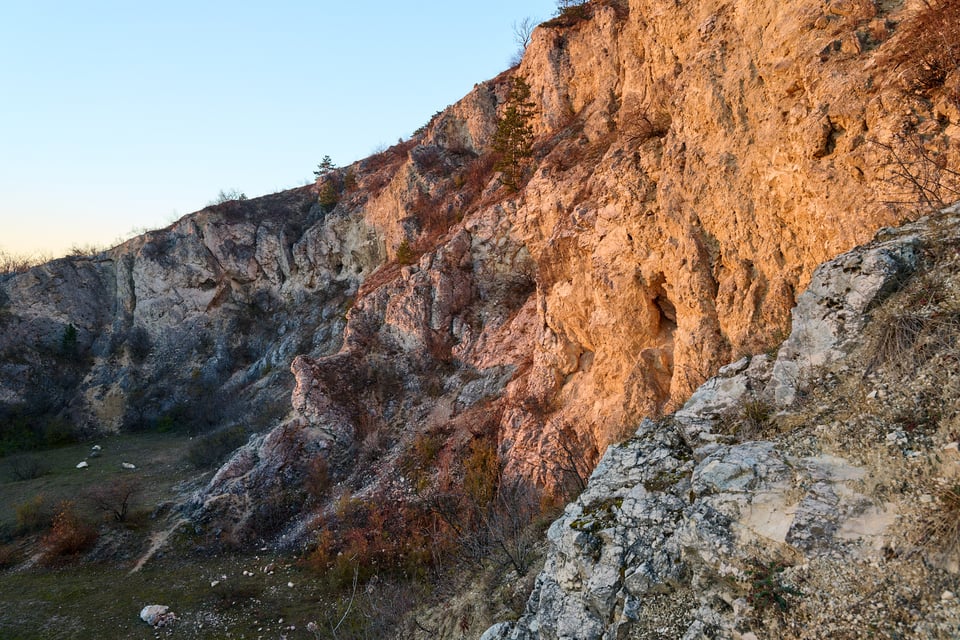 South Moravia_Wallcreeper__DSC9711-DxO_DeepPRIME 3