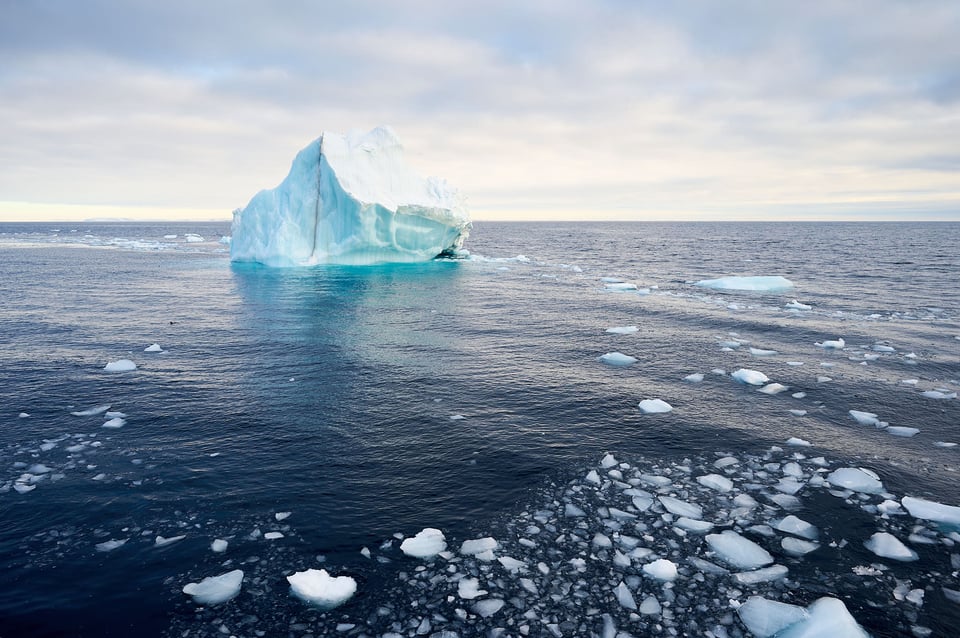 Iceberg