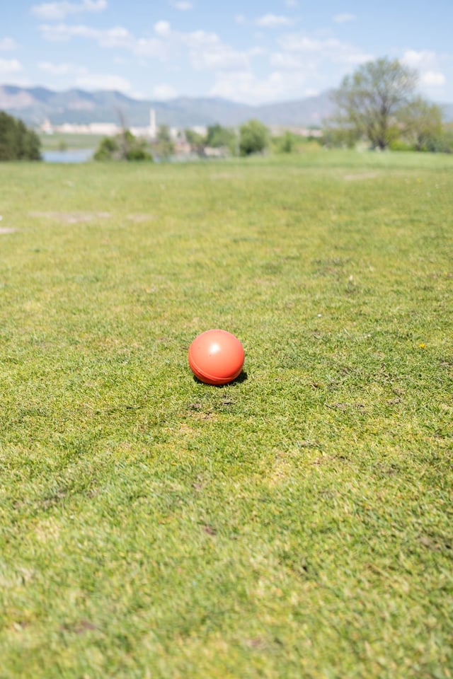 DSCF0032