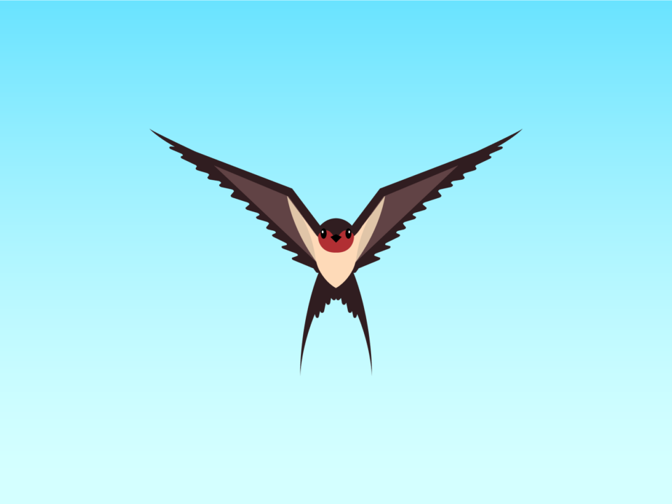 Bird flying toward you illustration