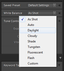 How to change White Balance in Lightroom