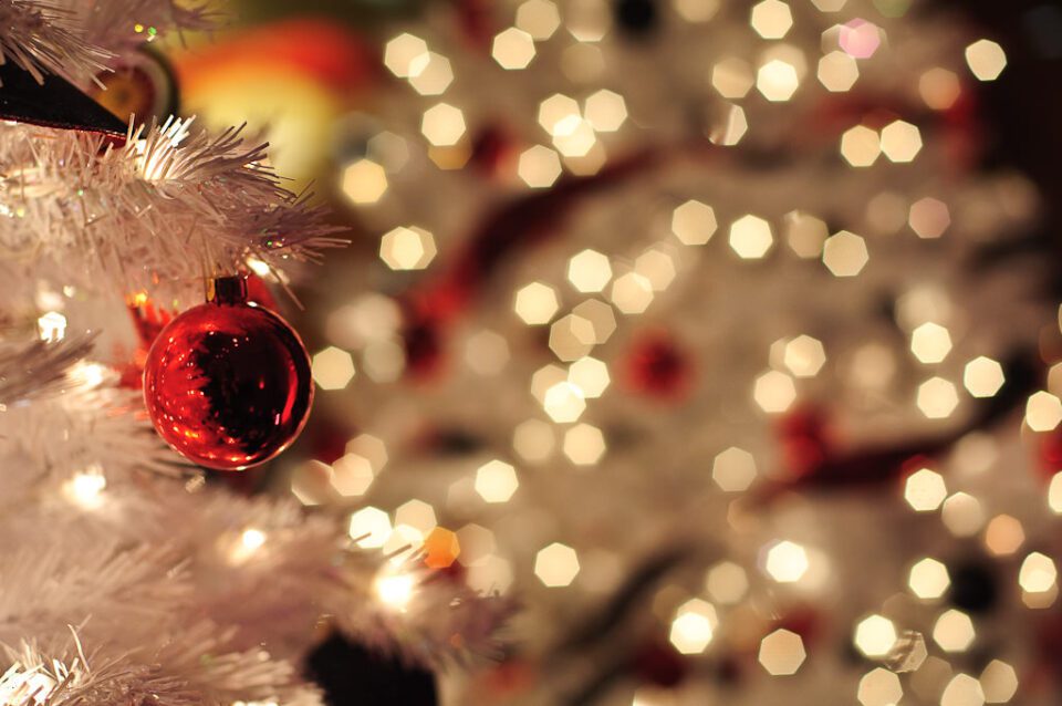 Corporate Photography - Christmas Tree Corporate Photography - Christmas Tree