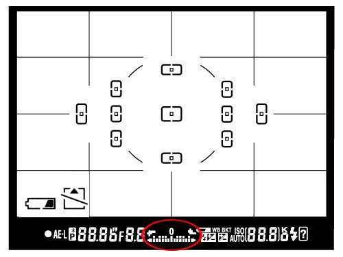 nikon exposure meter