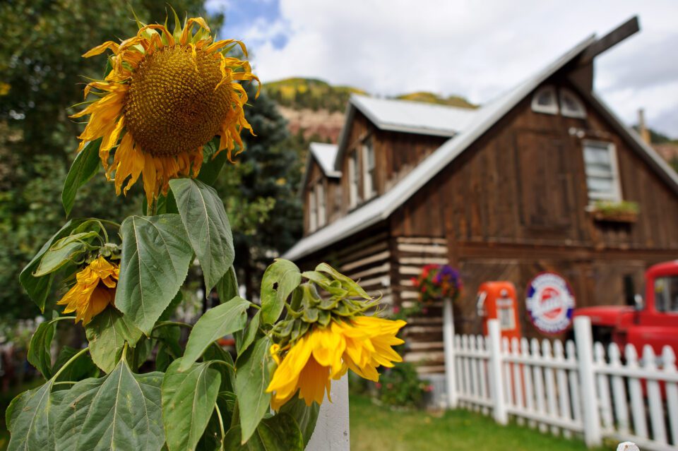 Nikon 24mm f/1.4G Image Sample (11)