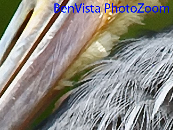 BenVista PhotoZoom 4x Crop