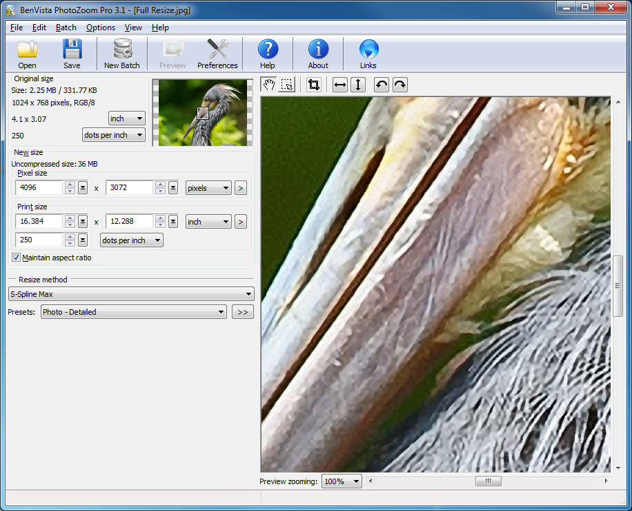 photozoom 6 pro review