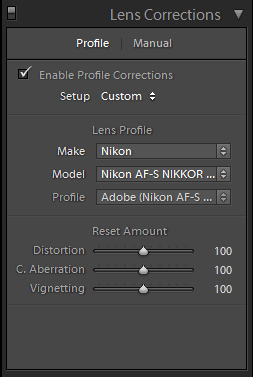 adobe dng converter lens correction