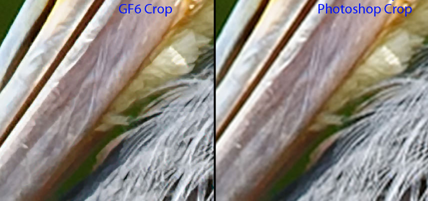 Genuine Fractals vs Photoshop Comparison