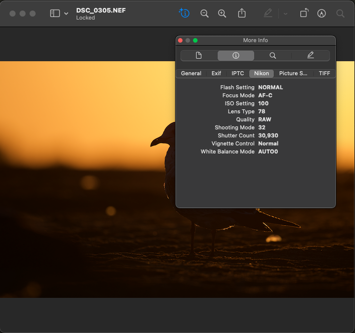 Check Shutter Count - Track Camera Shutter Count with Precision