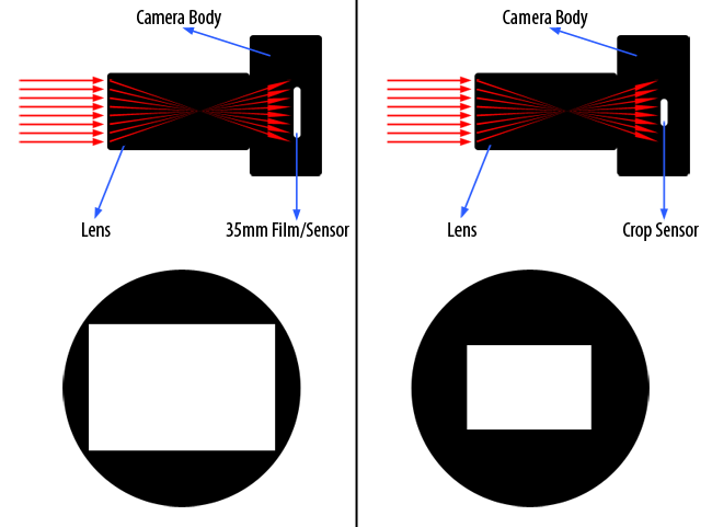 dx crop sensor