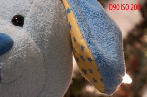 Nikon D90 ISO 200
