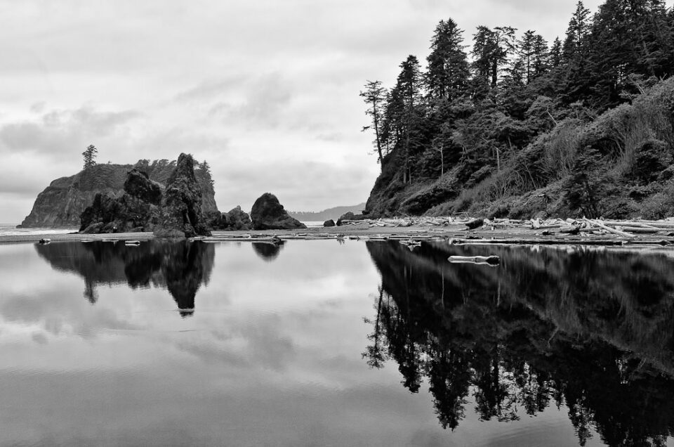 Black and White Reflection