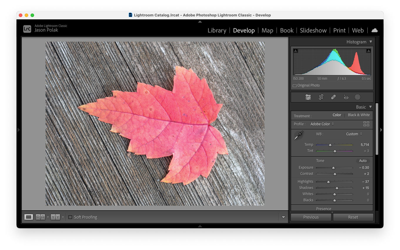 Photoshop vs Lightroom - What You Need to Know