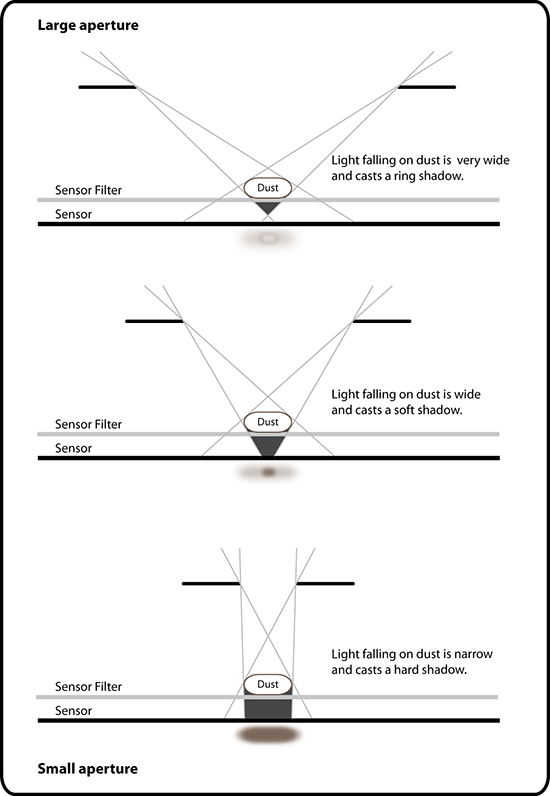 What Is the Size of Dust?