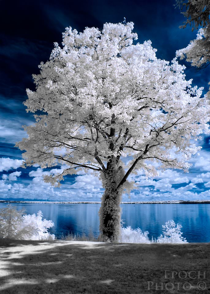 infrared dslr camera