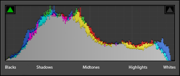 what do you read a histogram