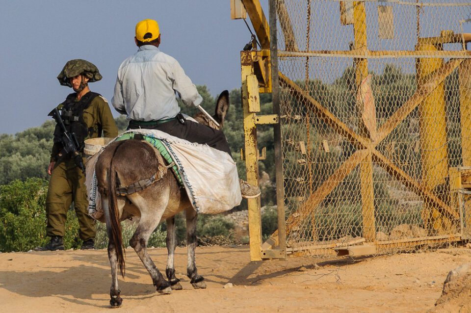 Documenting Palestine in Photographs © Gary Fields 10