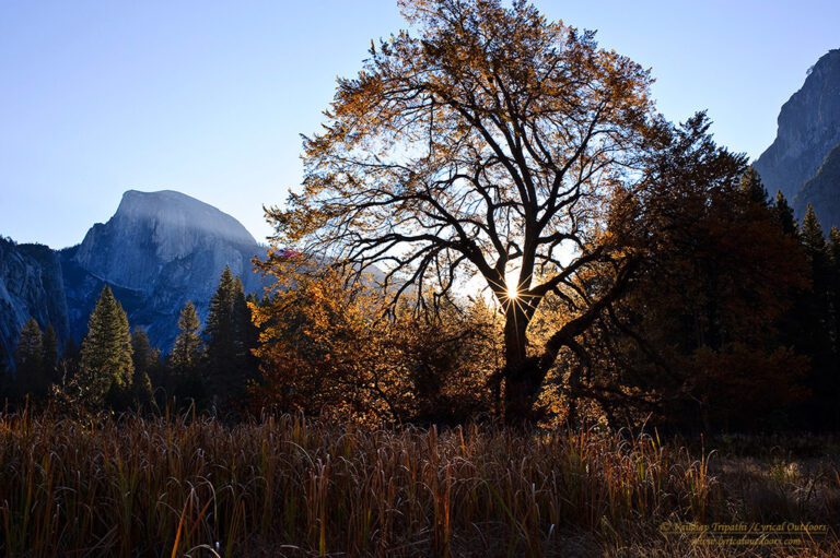 Yosemite Valley in Autumn