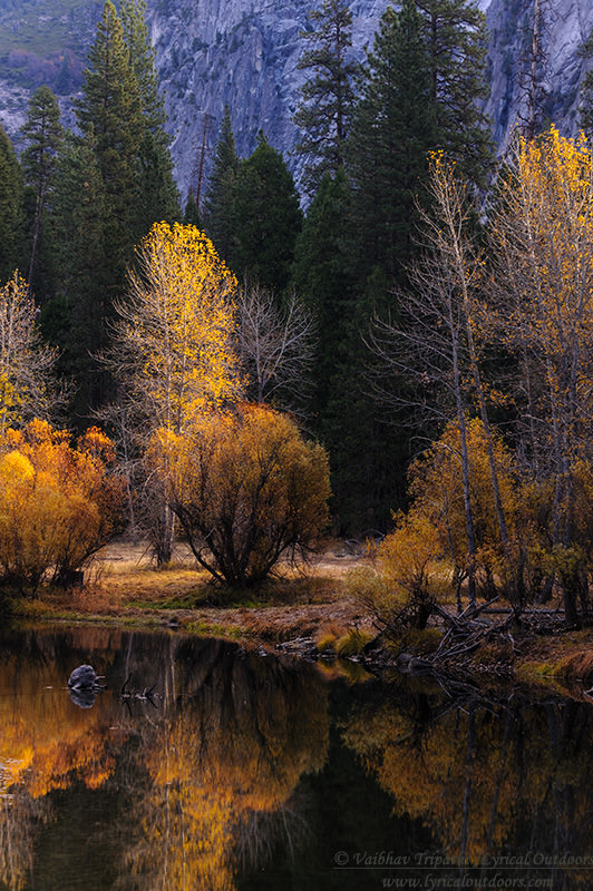 Yosemite in Autumn (7)