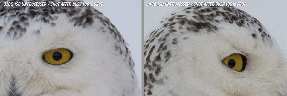 D4s - 800mm High ISO Comparison