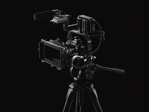 Sony A7s Video Rig