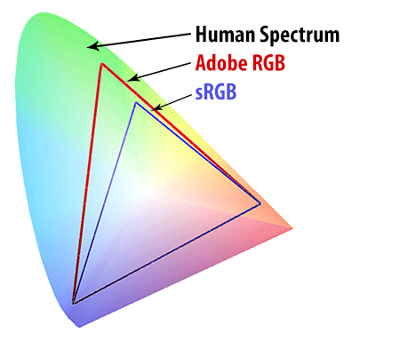Human Spectrum vs sRGB vs Adobe RGB
