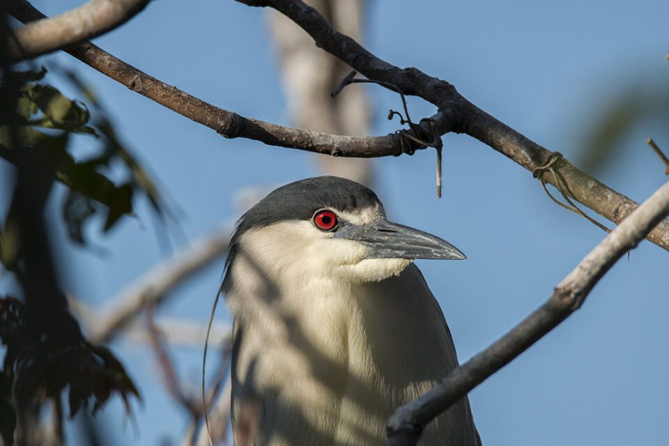 Tamron SP 150-600mm Sample Image #2