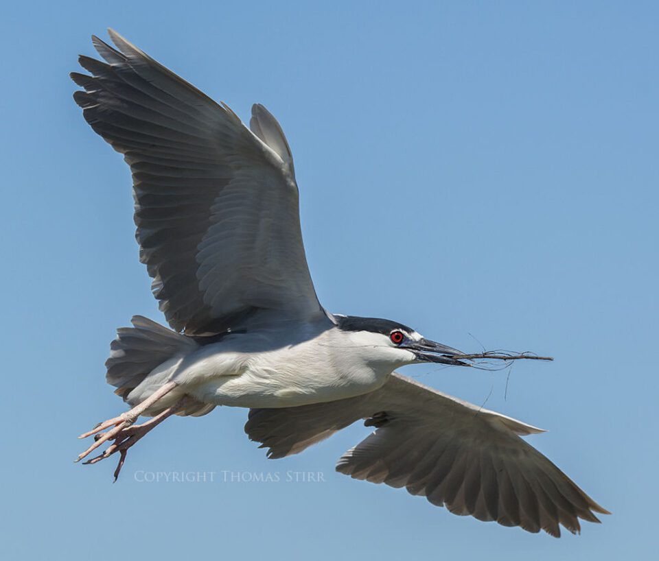 Tamron SP 150-600mm Sample Image #4